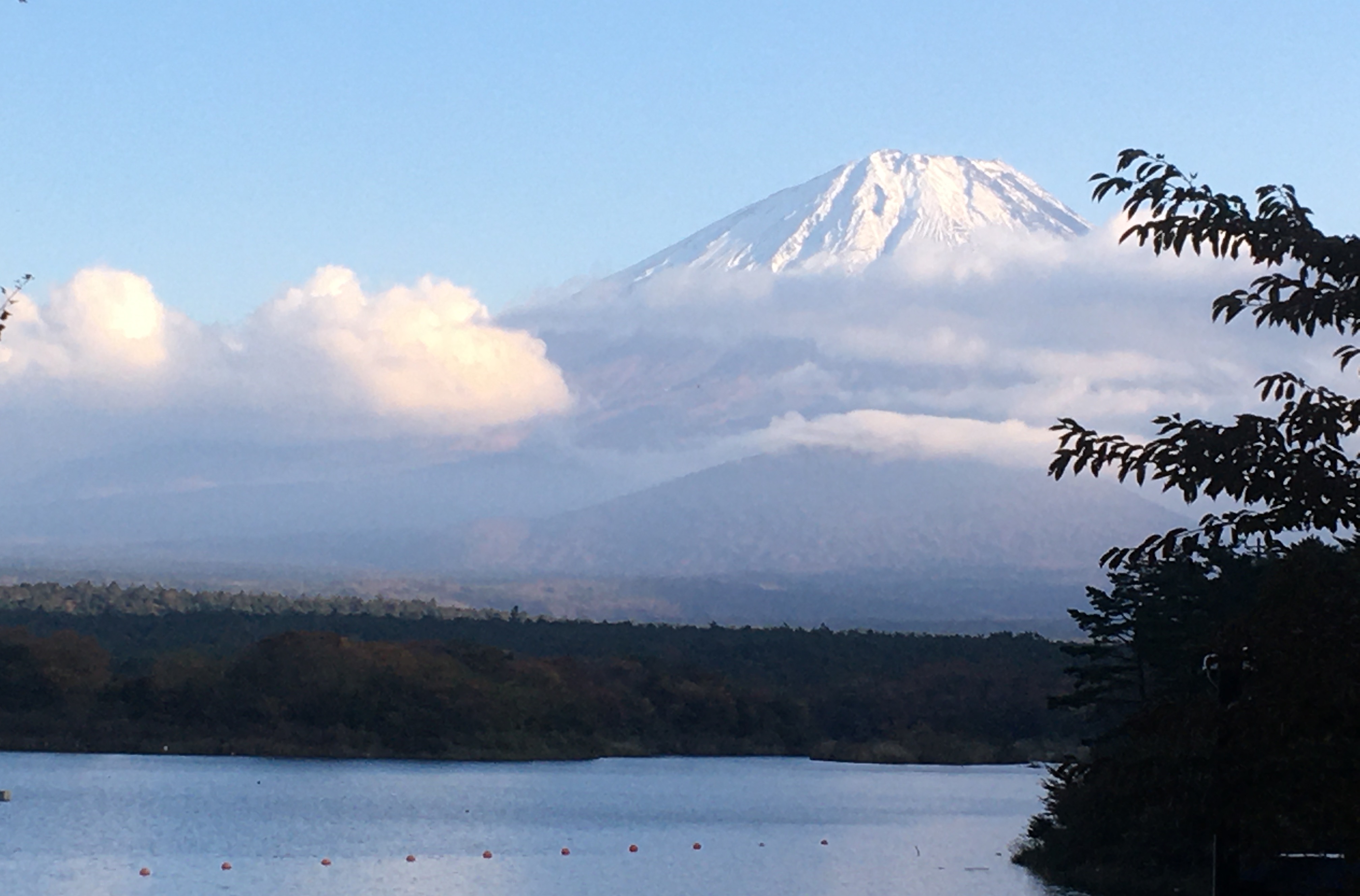 RfP Japan Activity Report FY2022